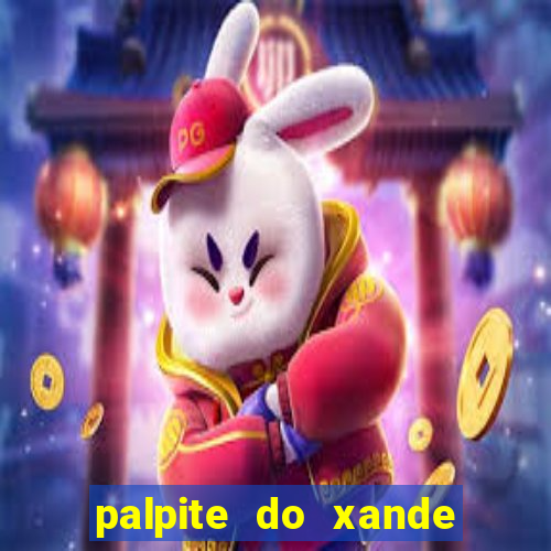 palpite do xande de hoje